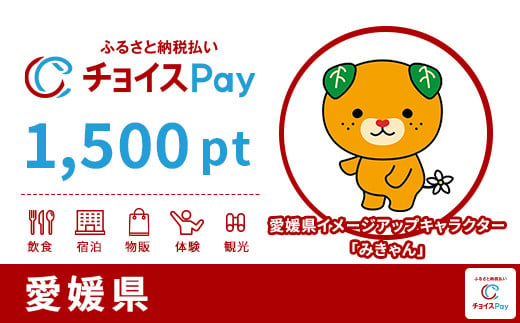 愛媛県チョイスPay 1,500pt(1pt=1円)