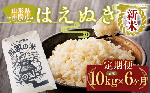 [令和6年産 新米 先行予約] [定期便6回] はえぬき (玄米) 10kg×6か月 [令和6年10月上旬〜発送] 『田口農園』 山形南陽産 米 ご飯 農家直送 山形県 南陽市 [1923-R6]