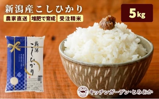 堆肥で育てた 新潟産 こしひかり 5kg コシヒカリ 米 お米 こめ コメ 白米 精米 減農薬 産地直送 新潟県産 新潟県 新潟　 848323 - 新潟県新潟市