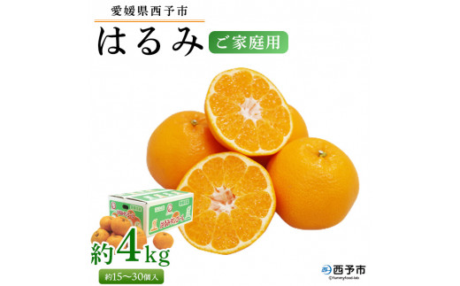 ＜愛媛県西予市産 はるみ ご家庭用 約4kg＞約15～30個入り 訳あり 果物 くだもの フルーツ みかん ミカン オレンジ 柑橘 期間限定 季節限定 食べて応援 特産品 愛媛県 西予市【常温】 512959 - 愛媛県西予市