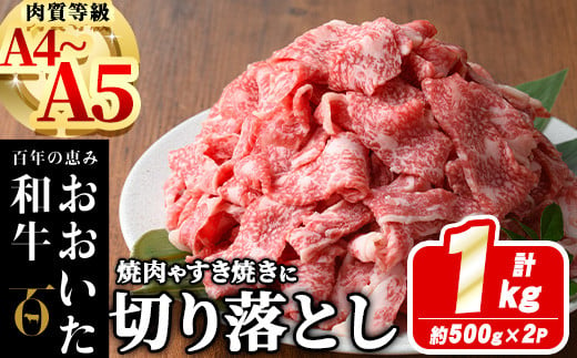 おおいた和牛 切り落とし (計1kg ・500g×2P) 国産 牛肉 肉 霜降り A4 A5 黒毛和牛 すき焼き しゃぶしゃぶ 焼肉 和牛 豊後牛 ブランド牛 冷凍【HE01】【(株)吉野】 1390455 - 大分県佐伯市