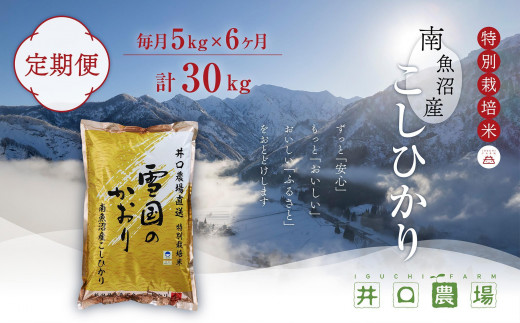 【令和6年産新米予約／令和6年10月上旬より順次発送】【定期便】５kg×６ヶ月　南魚沼産コシヒカリ 井口農場 こだわりの 特別栽培米 442742 - 新潟県南魚沼市