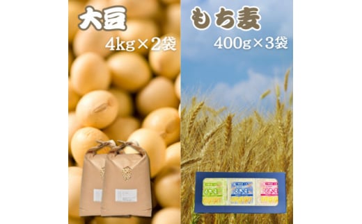 大豆4kg×2袋・もち麦400g×3袋＜食物繊維が豊富!＞【1522915】