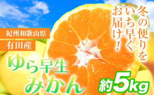 みかん 先行予約 紀州和歌山有田産 ゆら早生みかん 約5kg 株式会社魚鶴商店[2025年10月上旬-11月上旬頃出荷] 和歌山県 日高町 みかん 早生 柑橘