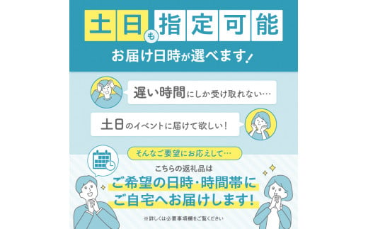 北海道浜中町のふるさと納税 【着日指定できます!!】ハーゲンダッツ『定番ミニカップ5種セット(合計12個)』アイスクリーム アイス スイーツ デザート_100303