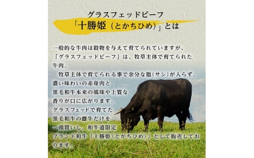 北海道大樹町のふるさと納税 和牛道ハンバーグ120g×10食セット【1439972】