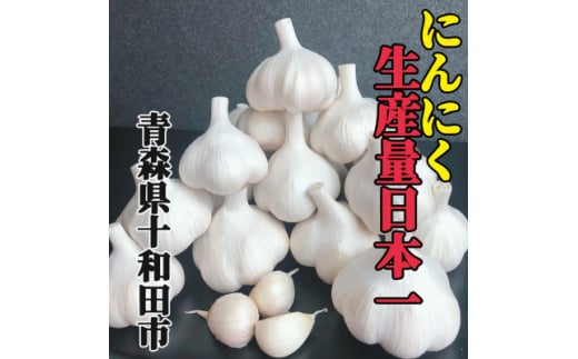 青森県十和田市のふるさと納税 ＜月500箱売れた＞青森県十和田市産にんにく500g(にんにく農家佐々木さんちのこだわりにんにく)【1472501】