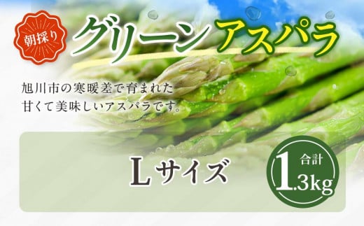 北海道旭川市のふるさと納税 【先行予約】朝採り グリーンアスパラ L 1.3kg (2025年5月下旬発送予定) 【 アスパラ アスパラガス グリーンアスパラ 朝採り 直送 産地直送 旬 春 北海道 とれたて お取り寄せ 冷蔵配送 冷蔵 旭川市 送料無料 】_01706