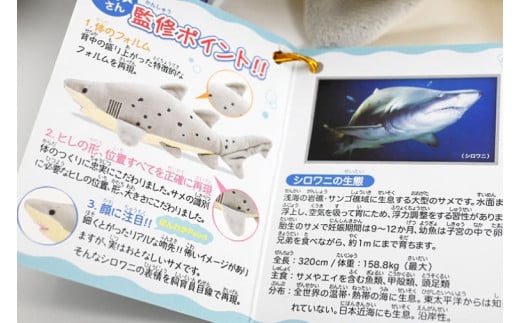 ぬいぐるみ シロワニ アクアワールド 大洗 オリジナル サメ グッズ 茨城 水族館 さめ 鮫 限定 - 茨城県大洗町｜ふるさとチョイス -  ふるさと納税サイト