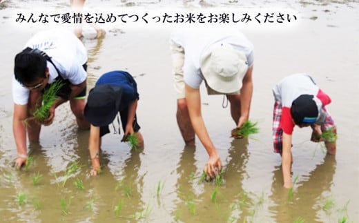 茨城県下妻市のふるさと納税 先行予約 令和6年産　茨城県産ミルキークイーン12kg（5kg×2袋、2kg×1袋）【米 お米 白米 茨城県産 ごはん こめ 国産 ミルキークイーン ふっくら もっちり 12kg 10kg 2kg】