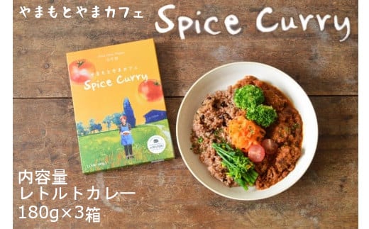 10P225 やまもとやまカフェ スパイスカレー3箱セット（180g×3箱） 1387489 - 新潟県小千谷市