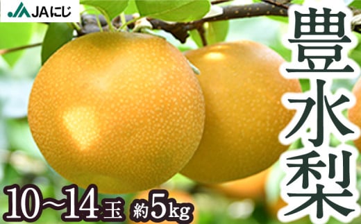 【先行予約】JAにじ 豊水梨 10玉から14玉 (約5kg) 2025年8月中旬から9月上旬 出荷予定 252965 - 福岡県うきは市