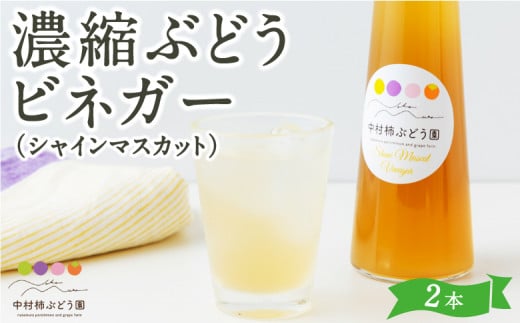 中村柿ぶどう園 濃縮ぶどうビネガー (シャインマスカット) 300ml×2本 フルーツビネガー 果実酢 フルーツ酢 1111999 - 福岡県うきは市