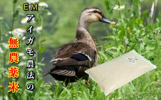 令和6年産 EMかもちゃん米 20kg(5kg×4)（精米） 269142 - 岩手県一関市