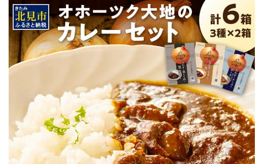 オホーツク生まれの絶品カレー！オホーツク大地のカレーセット ( レトルト 加工品 カレー セット 詰め合わせ )【005-0026】