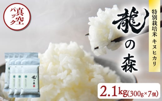 龍の森 真空パック キヌヒカリ 300g×7個 お米 米 2.1kg 真空包装 旨味 甘み ご飯 白米 おいしい パック 小分け 2合 便利 特別栽培米 AM酵素農法 長期保存  1482978 - 京都府京都府庁