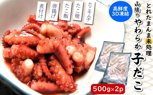 とれたまんまを急速冷凍　やわらか子ダコ(冷凍)500g×2袋 1kg 国産小だこ生 真空パック【1413632】 963551 - 兵庫県新温泉町