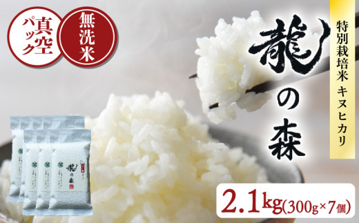 龍の森 真空パック キヌヒカリ （無洗米）300g×7個 お米 米 無洗米 2.1kg 真空包装 旨味 甘み 特別栽培米 AM酵素農法 長期保存 パック 小分け 2合 便利 ごはん 白米 備蓄 京都 南丹市 1万5千円 15000 1482980 - 京都府京都府庁