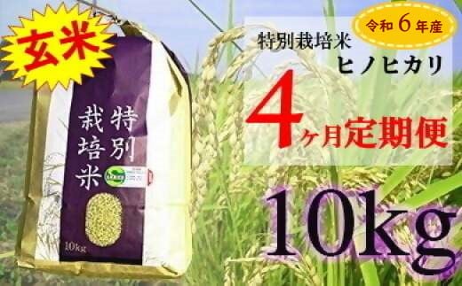 ZE-2 【4ヶ月連続お届け】佐賀県産 特別栽培米 ヒノヒカリ10kg - 佐賀県太良町｜ふるさとチョイス - ふるさと納税サイト