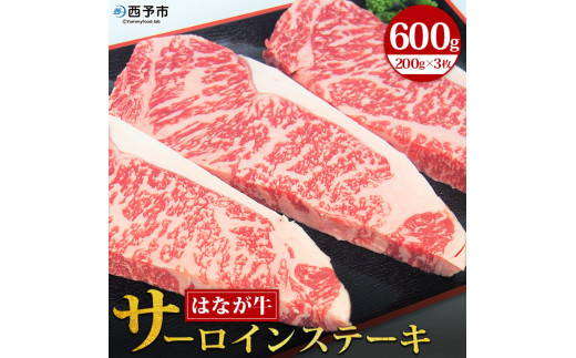 熟成肉はなが牛サーロインステーキ 212692 - 愛媛県西予市