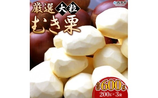 厳選 大粒むき栗 200g×3袋