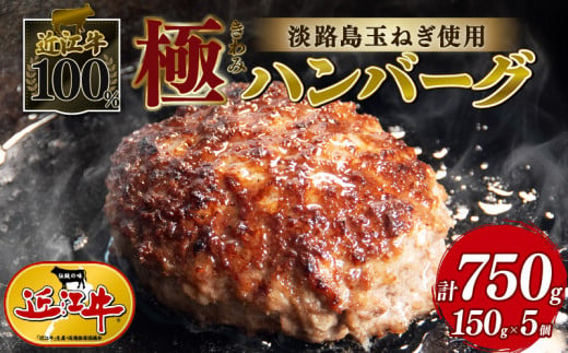 近江牛 100％ ハンバーグ 淡路島の玉ねぎ 使用 150g × 5個 黒毛和牛 ブランド 肉 三大和牛 贈り物 ギフト 滋賀県 竜王町 古株牧場 神戸牛 松阪牛 に並ぶ 日本三大和牛 ふるさと納税  1393116 - 滋賀県竜王町