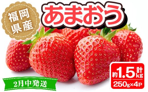 ＜先行予約受付中！2025年2月中に発送予定＞福岡県産 あまおう(計約1.5kg・250g×6P)いちご 苺 フルーツ 果物 くだもの 冷蔵 ＜離島配送不可＞【ksg1493】【くまふる春日】 1392211 - 福岡県春日市