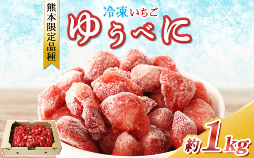冷凍 いちご  ゆうべに 約 1kg ｜ フルーツ 果物 シャーベット アイス イチゴ いちご 苺 赤いちご 熊本県 玉名市