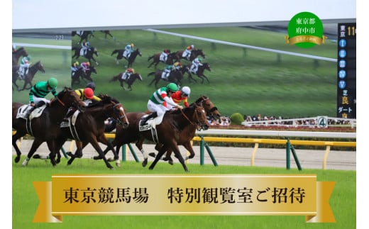 [東京競馬場]11月10日特別観覧室(1組4名様)ご招待