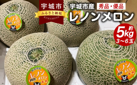 【先行予約】レノンメロン 約5kg（3～6玉） 秀品 優品 赤肉メロン【2025年4月下旬～5月下旬発送予定】果物 くだもの フルーツ メロン めろん