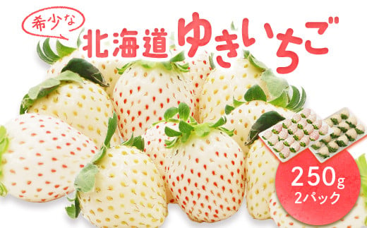 【北海道産】ゆきいちご（白いちご）2Pセット 250g×2 計500g