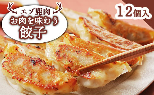 エゾ鹿肉 お肉を味わう餃子 12個入