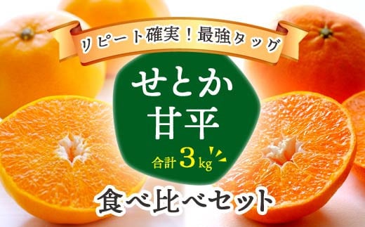 愛媛の人気柑橘2品種をセットに!せとか・甘