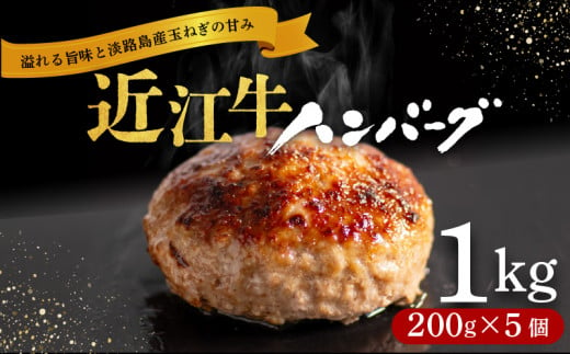 滋賀県竜王町のふるさと納税 近江牛 ハンバーグ 1kg 200g × 5個 淡路島の玉ねぎ入り 冷凍 真空 小分け 個包装 肉汁 たっぷり 大容量 大きめ ハンバーグ 合挽き 牛肉 豚肉 保存料 不使用 ビーフ ポーク 合いびき肉 挽肉 ジューシー ハンバーグ お弁当 おかず 惣菜 晩ごはん 贅沢 ギフト 贈り物 贈答