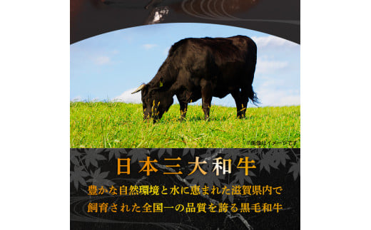 滋賀県竜王町のふるさと納税 近江牛 ハンバーグ 1kg 200g × 5個 淡路島の玉ねぎ入り 冷凍 真空 小分け 個包装 肉汁 たっぷり 大容量 大きめ ハンバーグ 合挽き 牛肉 豚肉 保存料 不使用 ビーフ ポーク 合いびき肉 挽肉 ジューシー ハンバーグ お弁当 おかず 惣菜 晩ごはん 贅沢 ギフト 贈り物 贈答