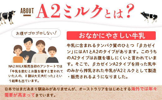 なかしべつ牛乳プレミアム NA2 MILK 1L×6本