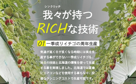 【北海道産】ゆきいちご（白いちご）2Pセット 250g×2 計500g