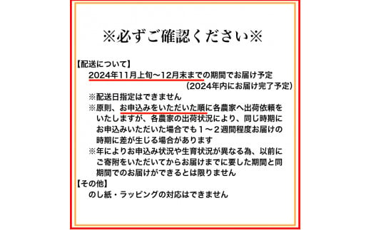 和歌山県有田市のふるさと納税 【小粒･2S・SS】有田みかん「未来への虹」（10kg）(A239-1)