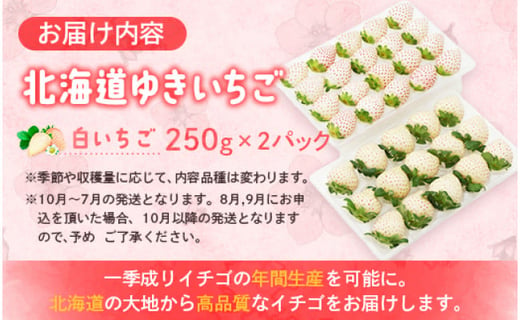 【北海道産】ゆきいちご（白いちご）2Pセット 250g×2 計500g