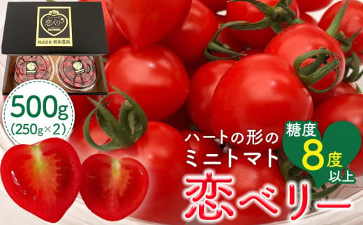 秋田県産ミニトマト「恋ベリー」 500gギフトBOX