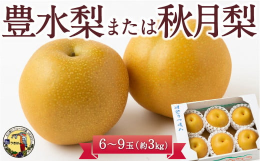 【先行予約】道の駅うきは 豊水梨または秋月梨 6玉から9玉 (約3kg) 2025年8月下旬から9月上旬 出荷予定 252969 - 福岡県うきは市