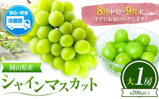 ぶどう 葡萄 岡山県産 シャインマスカット 大1房 (約700g以上) 佐々木農園《8月中旬-9月末頃出荷》岡山県 笠岡市 送料無料 マスカット フルーツ 果物 ブドウ お取り寄せフルーツ【配送不可地域あり】 st-p