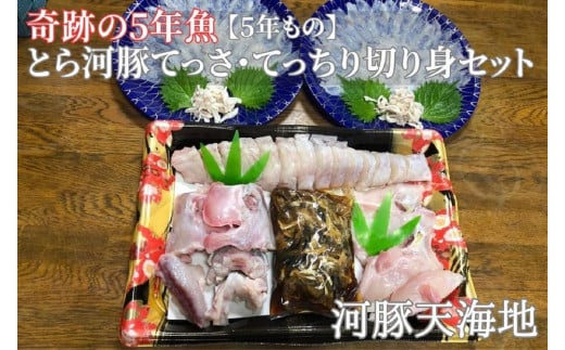 奇跡の５年魚【５年もの】とら河豚てっさ110g・てっちり切り身250gセット(ざく80g付） 1394330 - 香川県坂出市