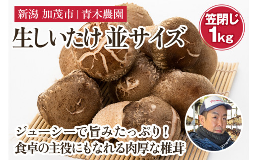 生しいたけ 並サイズ（笠閉じ） 約1kg（24～36個）《11月上旬から順次発送》 品評会で金賞受賞！ ききのこ しいたけ 椎茸 特大 食べ応えある大きさ 肉厚で旨味たっぷり！ 加茂市 青木農園 1394184 - 新潟県加茂市