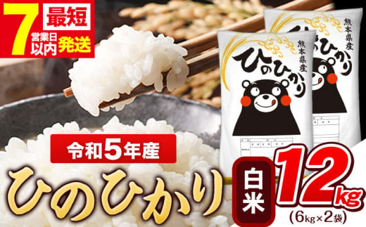 令和5年産 ひのひかり 白米  内容量 12kg  熊本県産 白米 精米 ひの《7-14営業日以内に出荷予定(土日祝除く)》 1411435 - 熊本県玉東町