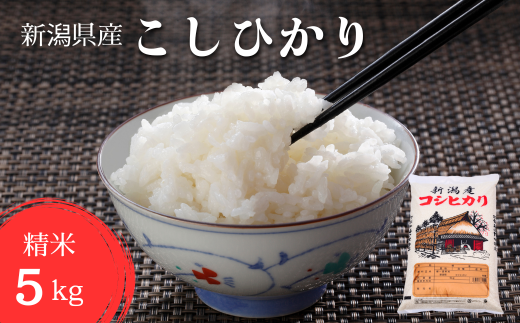 【令和6年産新米】 こしひかり 精米 5kg せいまい 米 こめ コメ 新潟県 産 おすすめ オススメ 1419039 - 新潟県見附市