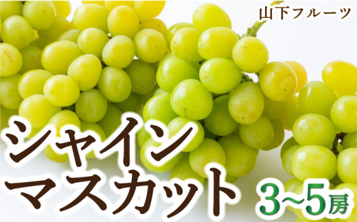 【先行予約】山下フルーツ シャインマスカット 3房から5房 2025年8月中旬から9月中旬 出荷予定 252936 - 福岡県うきは市