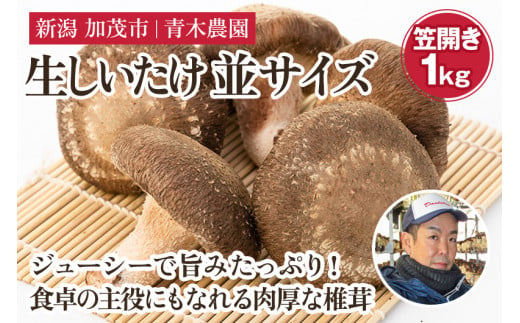 生しいたけ 並サイズ（笠開き） 約1kg（24～36個）《10月中旬から順次発送》 品評会で金賞受賞！ きのこ しいたけ 椎茸 特大 食べ応えある大きさ 肉厚で旨味たっぷり！ 加茂市 青木農園 1394185 - 新潟県加茂市