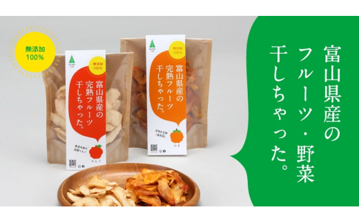 富山県産の素材を使った ドライフルーツ・乾燥野菜セット【ドライフルーツ 保存料 着色料 不使用 非常食 りんご リンゴ かき 柿 なし 梨】 1415771 - 富山県滑川市