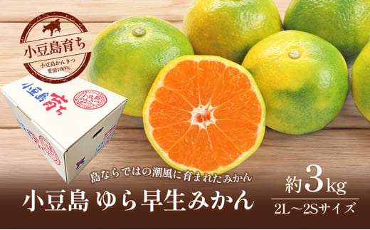 ふるさと納税 日高町 【発送月固定定期便】ご家庭用 幼い 2種